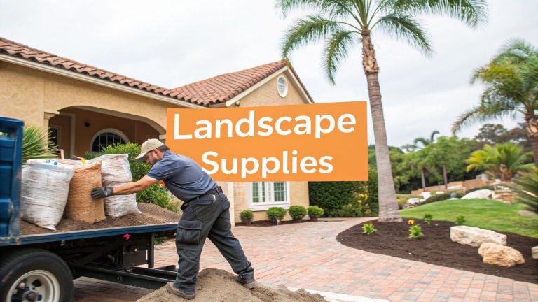 featured image da424893 245d 474f add0 6ba6f66af48c.jpg