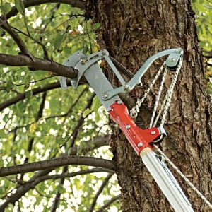Pole Pruner Kits